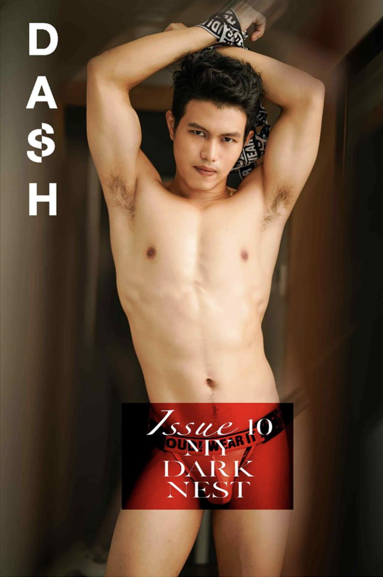 Dash Magazine No.10 Dark Nest-Wanke photo + video