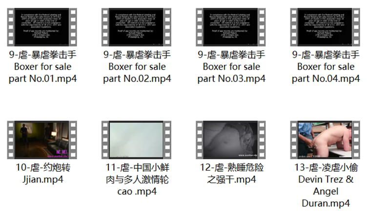 Abuse Series-Welfare No. 2-Wanke Video (Welfare：8Collections of videos)
