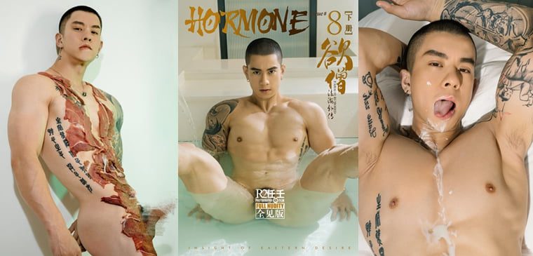 Ren Ren ทำงาน HORMONE NO.08 พระปรารถนา เล่ม 2 หม่าเหลียง-ว่านเกะ ภาพเหมือน