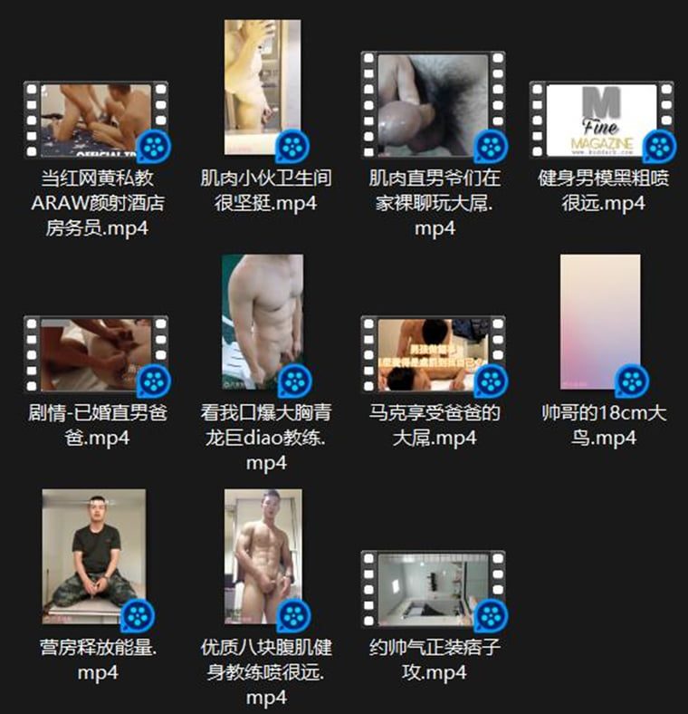 Domestic Collection 27——Wanke Video