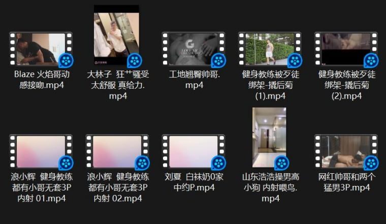 คอลเลกชันในประเทศ 34——วิดีโอ Wanke