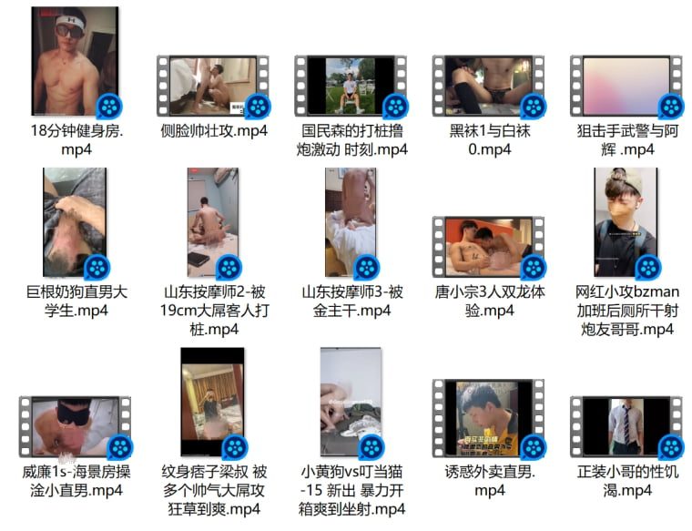 คอลเลกชันในประเทศ 54——Wanke วิดีโอ