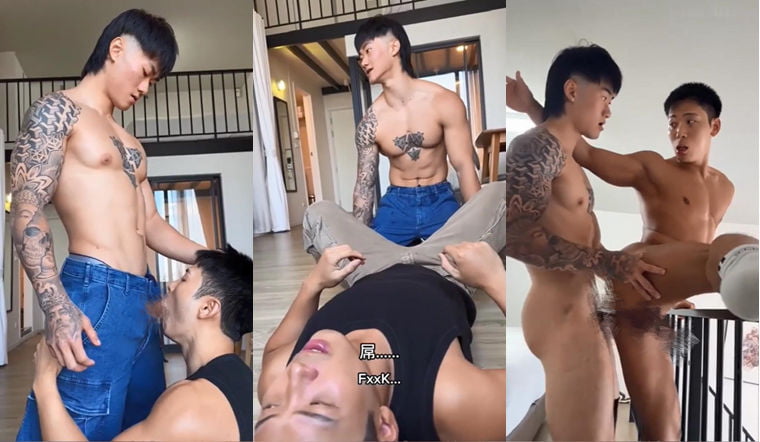 Internet celebrity VINCENT HAILI——Wanke Video