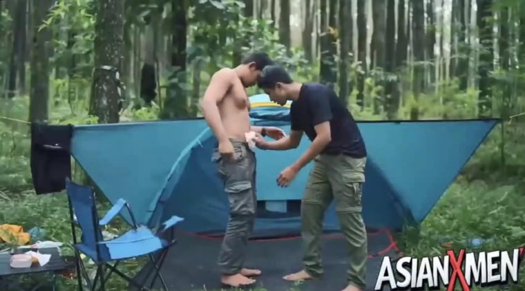 วิดีโอค่ายปิคนิค Pinewood